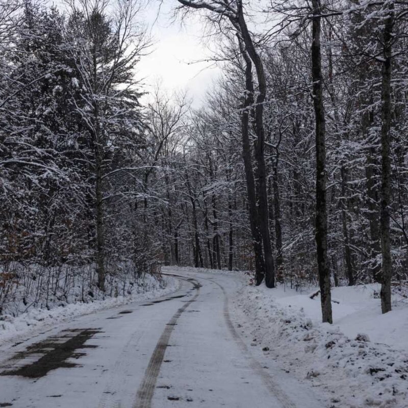 February Storms in a Country That Still Works—for Now
