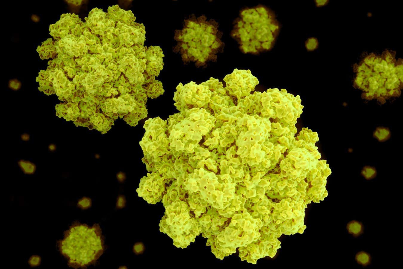 Norovirus vaccine pill shows promise against ‘winter vomiting’ bug