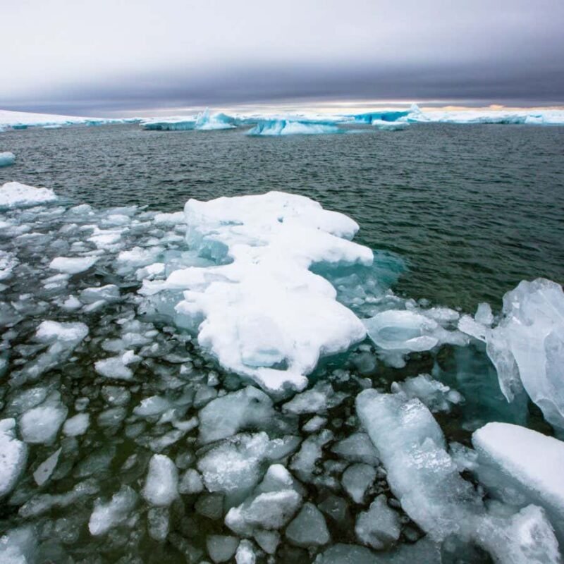 Global sea ice levels just hit a new record low