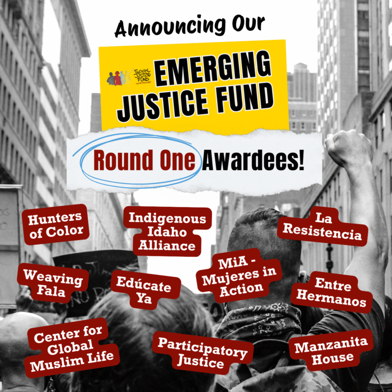 2025 Emerging Justice Fund – Round Two Awardees