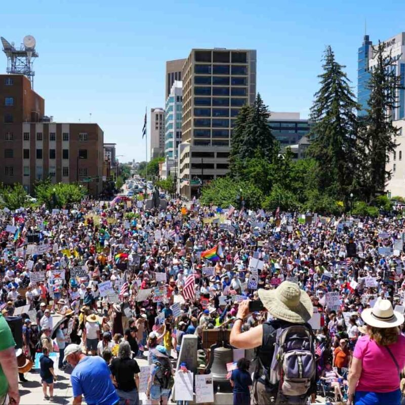 The No Kings! Movement Trumped Trump