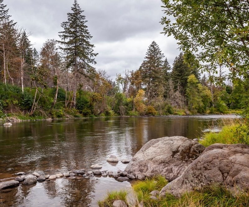 Impact Fund Grants Support Indigenous Rights, Students’ Civil Rights, and Environmental Justice  — Impact Fund