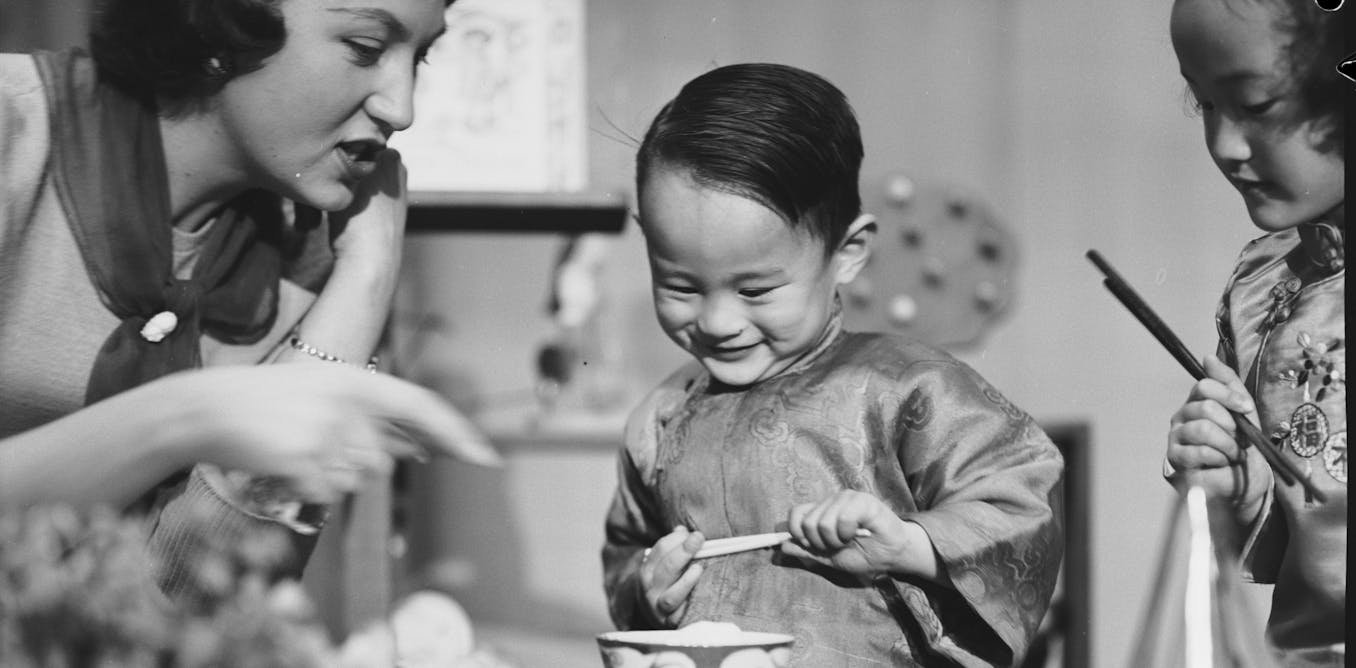 How migrant stories and contributions have shaped Australian TV since the 1950s