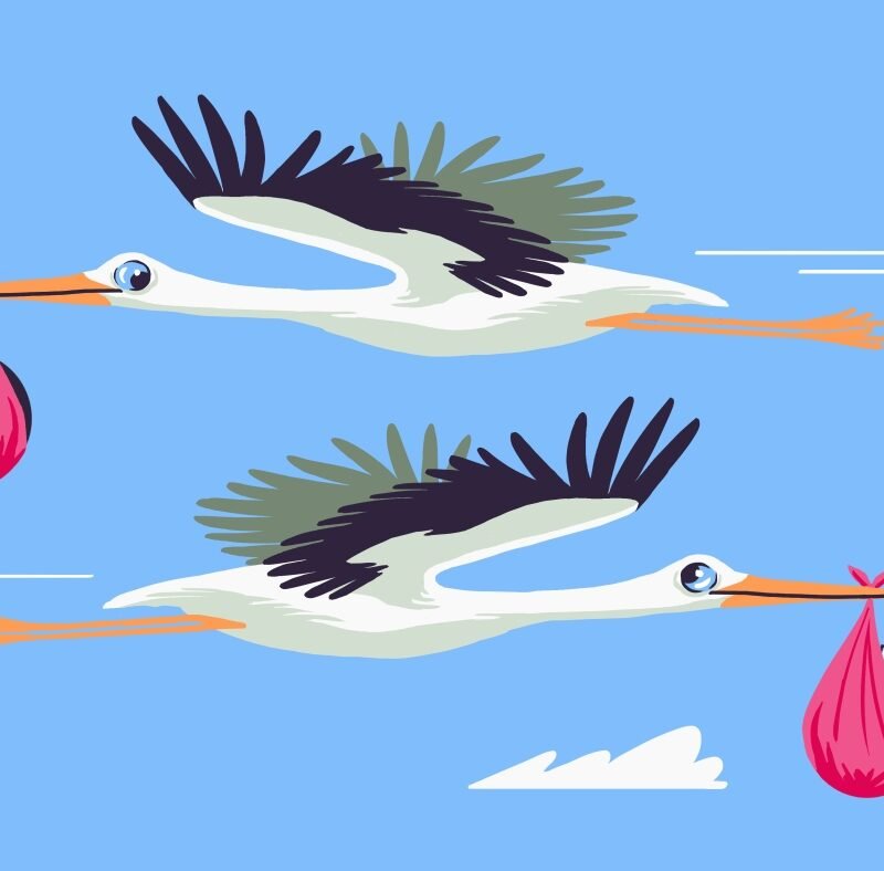 How Elon Musk and JD Vance plan to ‘save civilization’ with more babies : Code Switch : NPR How Elon Musk and JD Vance plan to ‘save civilization’ with more babies : Code Switch : NPR