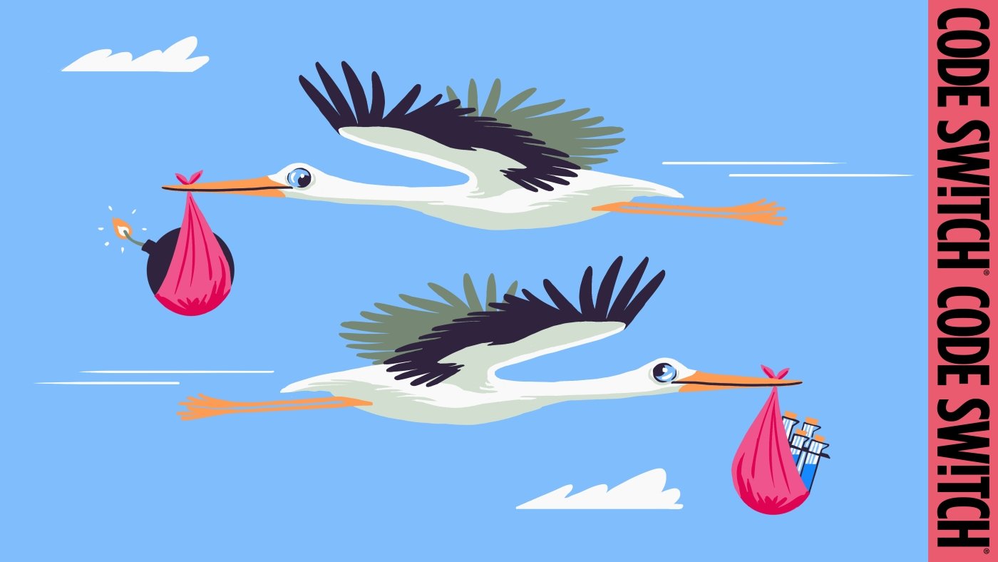 How Elon Musk and JD Vance plan to ‘save civilization’ with more babies : Code Switch : NPR