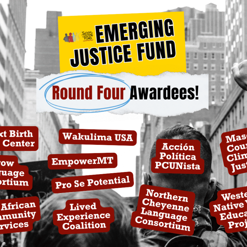 2025 Emerging Justice Fund – Round Four Awardees 2025 Emerging Justice Fund – Round Four Awardees