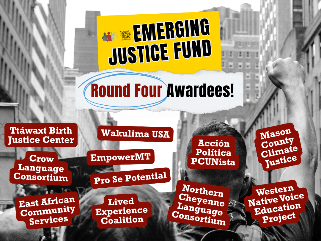 2025 Emerging Justice Fund – Round Four Awardees