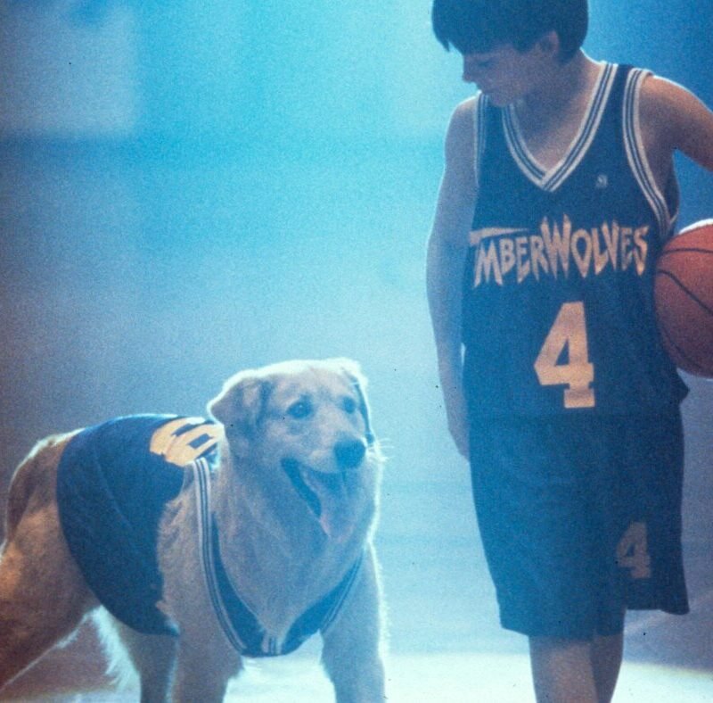 ‘Air Bud’ gets another life through Missouri redistricting : NPR