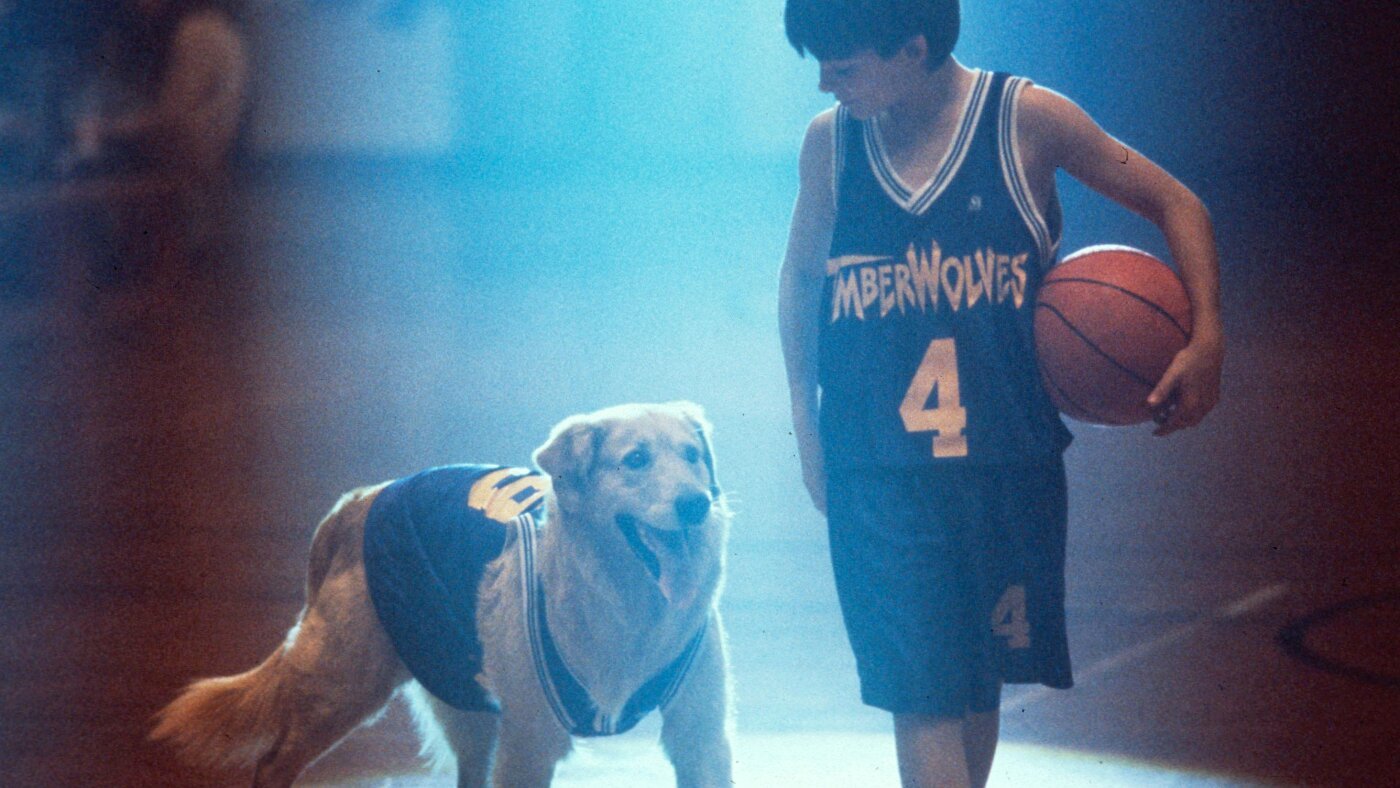 ‘Air Bud’ gets another life through Missouri redistricting : NPR