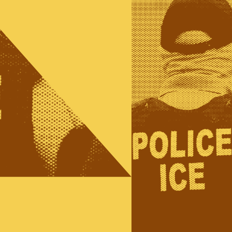 U.S. Citizen Files Federal Claims After Violent Immigration Stop